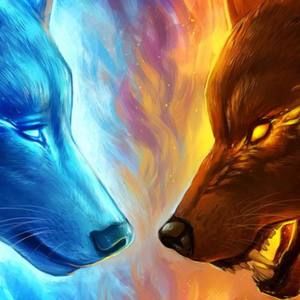 Meet your Posher, Dakota